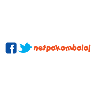 Netpak Ambalaj Logo PNG Vector