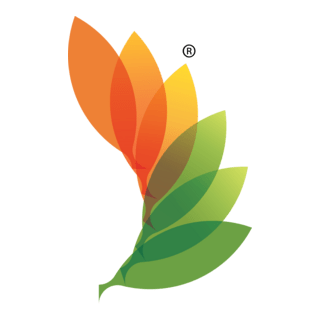 RACE_CLEAN ENERGY Logo PNG Vector