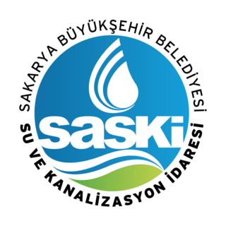 Saski Logo PNG Vector