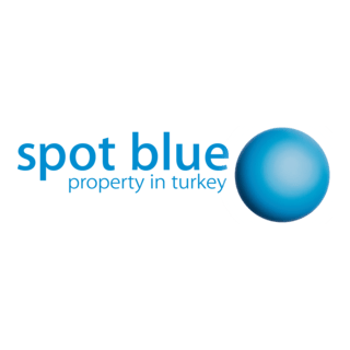 Spot Blue Logo PNG Vector