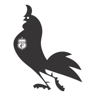 Treze Futebol Clube Logo PNG Vector