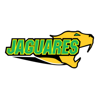 UR Jaguares Logo PNG Vector