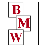 BMW Constructors Logo PNG Vector