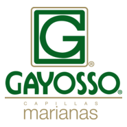 Gayosso Logo PNG Vector