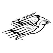 New Jersey Cardinals Logo PNG Vector