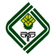 pkps Logo PNG Vector