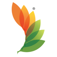 RACE_CLEAN ENERGY Logo PNG Vector