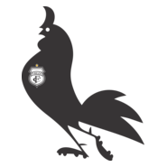 Treze Futebol Clube Logo PNG Vector