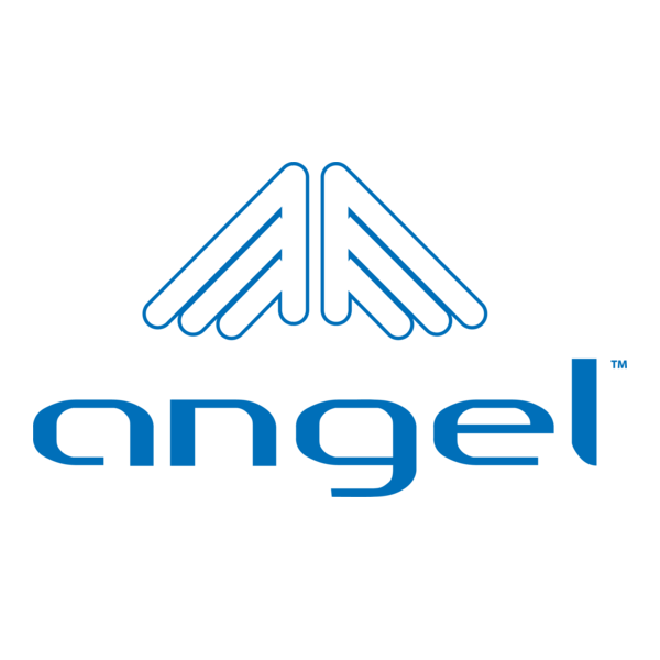 Angel Sunglasses Logo PNG Vector