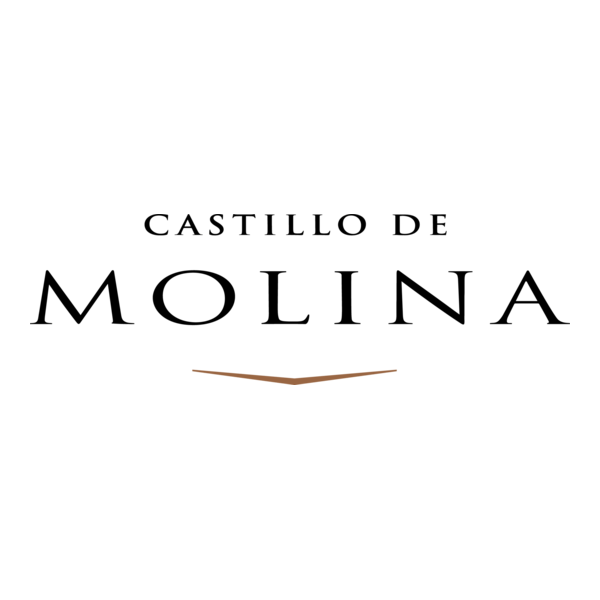 Castillo de Molina Logo PNG Vector