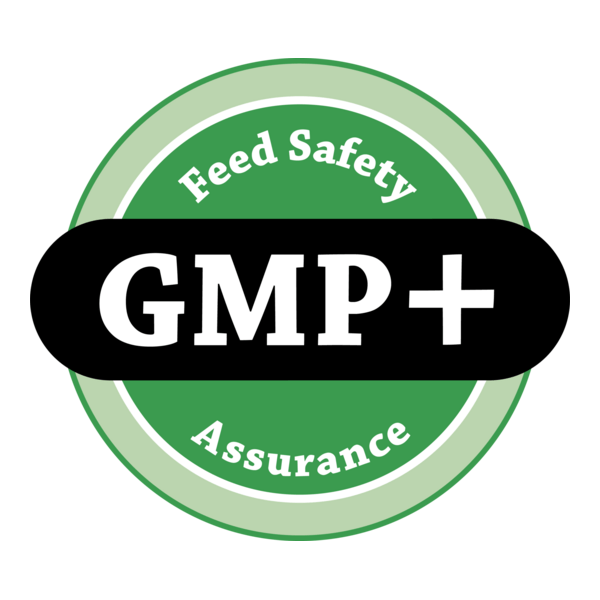 GMP Logo PNG Vector