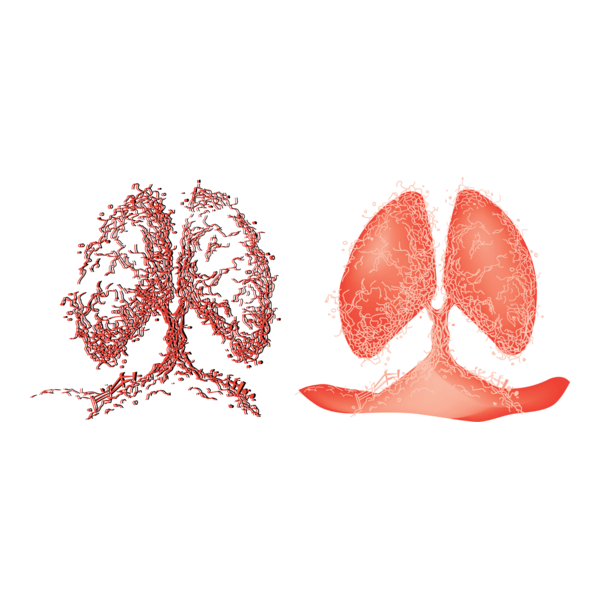 tree lever Logo PNG Vector