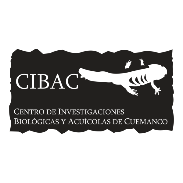 uam cibac Logo PNG Vector
