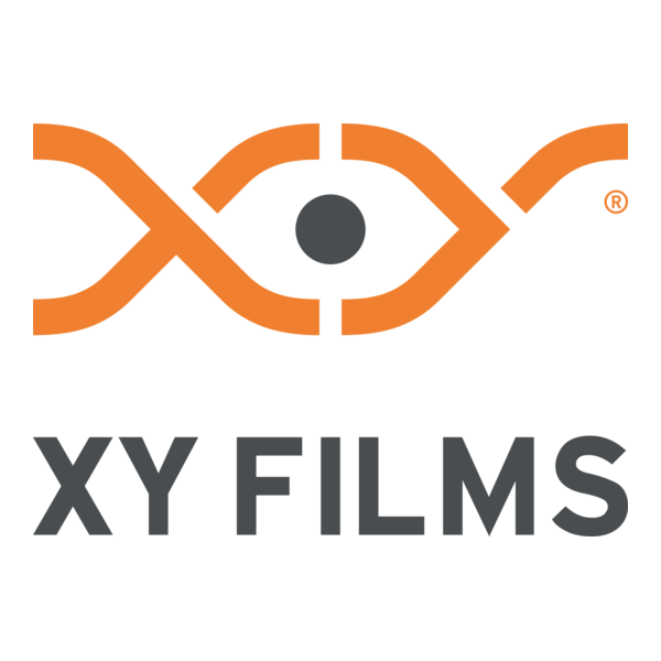 XY FILMS Bosnia & Herzegovina flag Logo PNG Vector