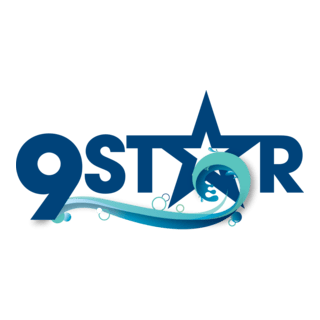 9 Star Logo PNG Vector