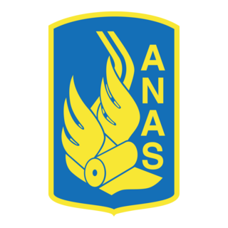 Anas Logo PNG Vector