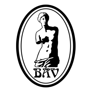 BÁV Logo PNG Vector