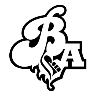 BigAirBAG Logo PNG Vector