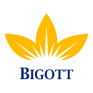 Bigott Logo PNG Vector