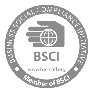 BSCI Logo PNG Vector