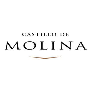 Castillo de Molina Logo PNG Vector