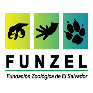 FUNZEL Logo PNG Vector