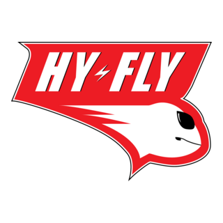 hy-fly Logo PNG Vector