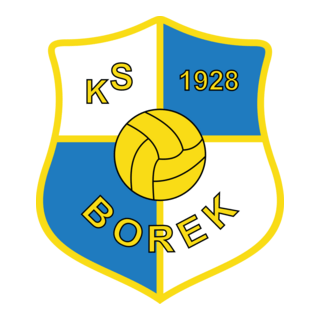 KS Borek Kraków Logo PNG Vector