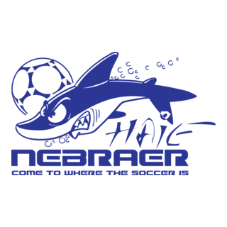 Nebraer Logo PNG Vector