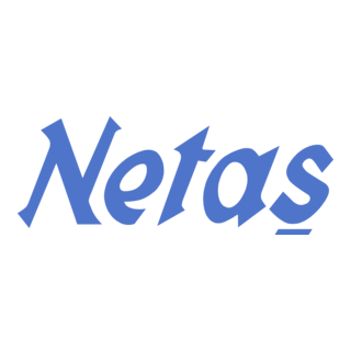 Netaş Logo PNG Vector