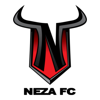 Neza FC Logo PNG Vector
