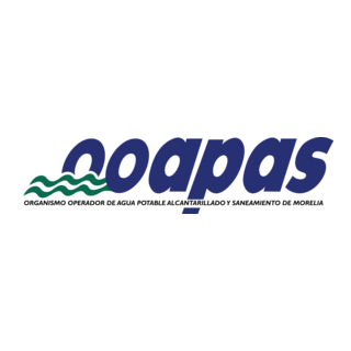 OOAPAS Logo PNG Vector