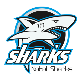 Shark's Natal RN - Futebol Americano Logo PNG Vector