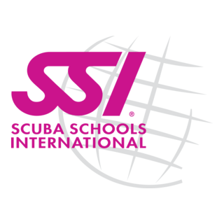 SSI Logo PNG Vector