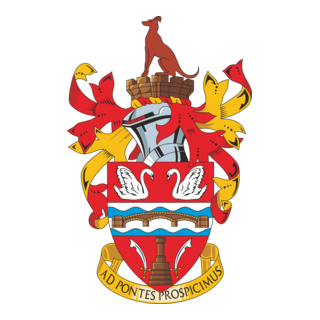 Staines Town FC Logo PNG Vector