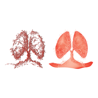 tree lever Logo PNG Vector