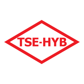 TSE-HYB Logo PNG Vector