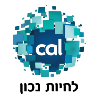 Visa CAL Logo PNG Vector