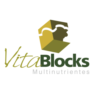 Vitablocks Logo PNG Vector