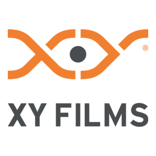 XY FILMS Bosnia & Herzegovina flag Logo PNG Vector