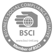 BSCI Logo PNG Vector