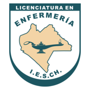 Enfermeria IESCH Logo PNG Vector