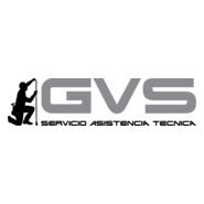 GVS Logo PNG Vector