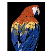 parrot 2 Logo PNG Vector
