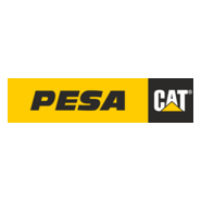 PESA Logo PNG Vector