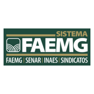 Sistema Faemg Logo PNG Vector