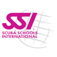 SSI Logo PNG Vector