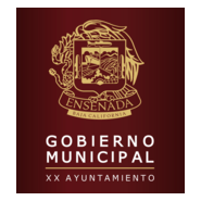 XX Ayuntamiento Gobierno Municipal Logo PNG Vector