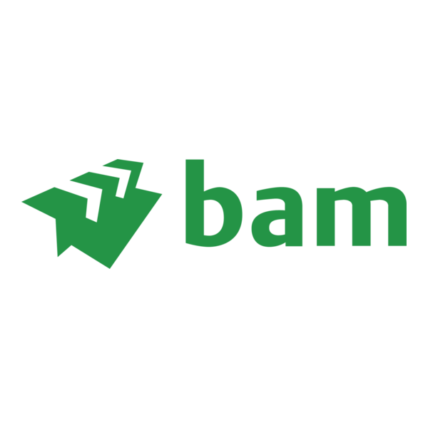 BAM Logo PNG Vector