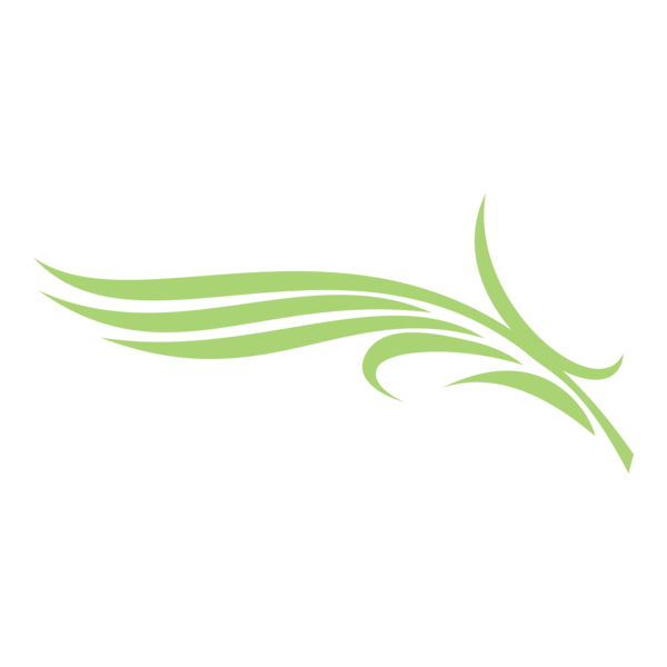 Diera Palm Logo PNG Vector